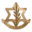 Israel Defense Forces icon