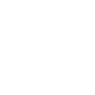 ZOOM News icon